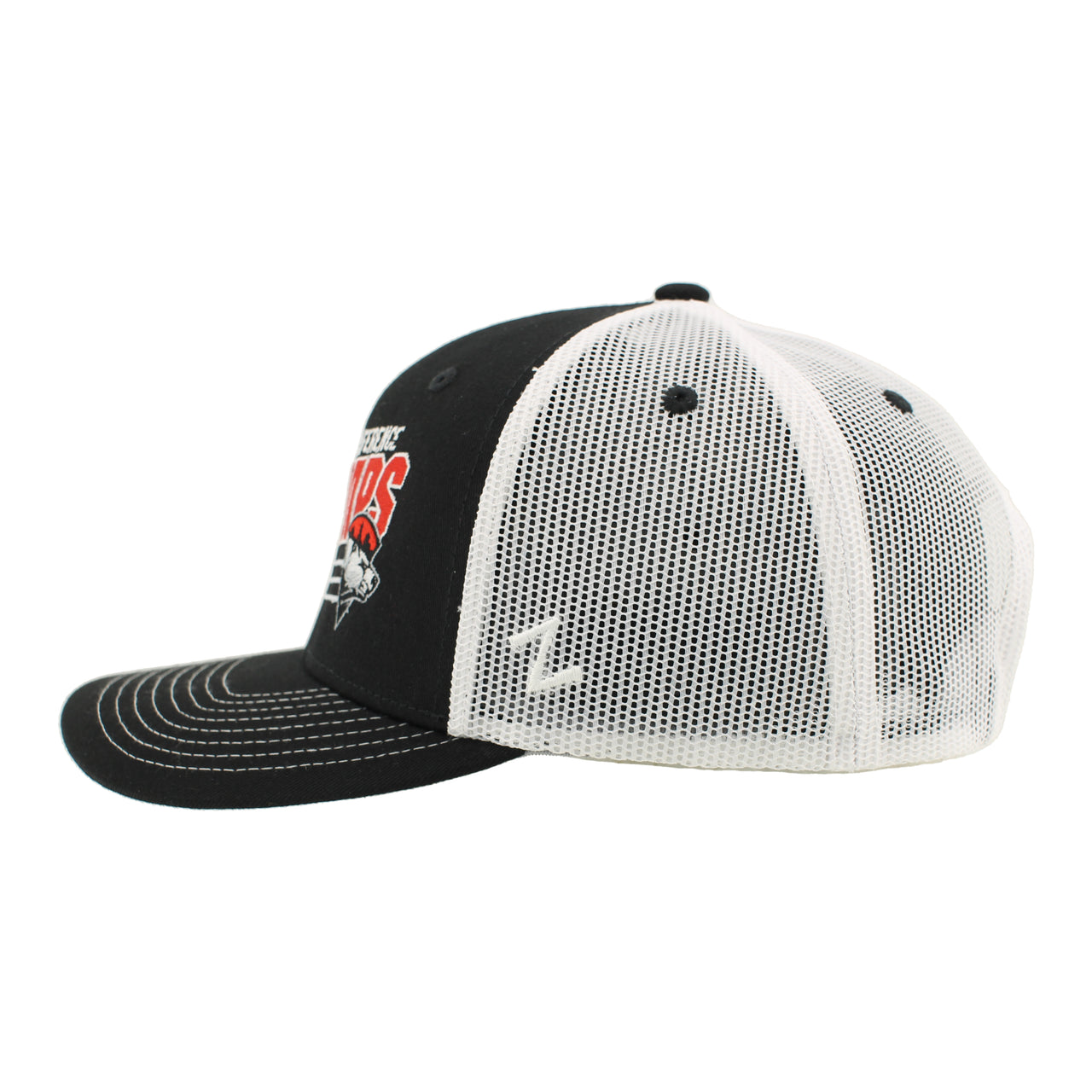 Charlotte Checkers 2025 Eastern Conference Champions Hat
