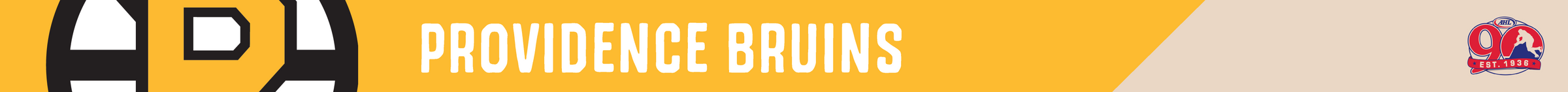 Providence Bruins