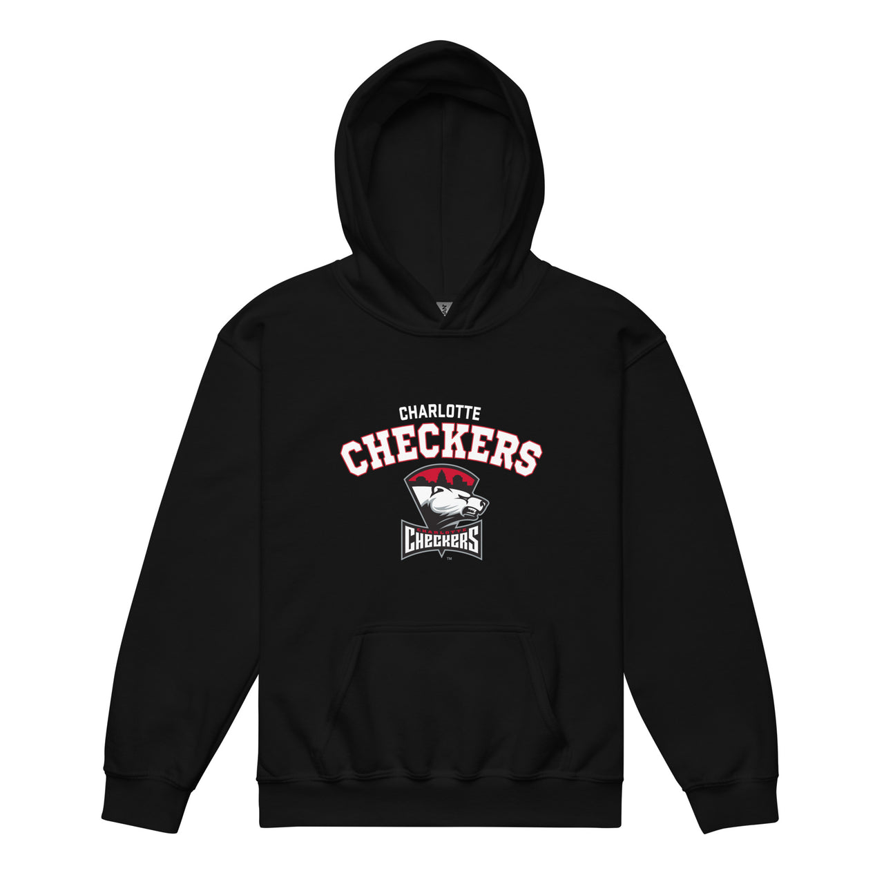 Charlotte Checkers Arch Youth Pullover Hoodie