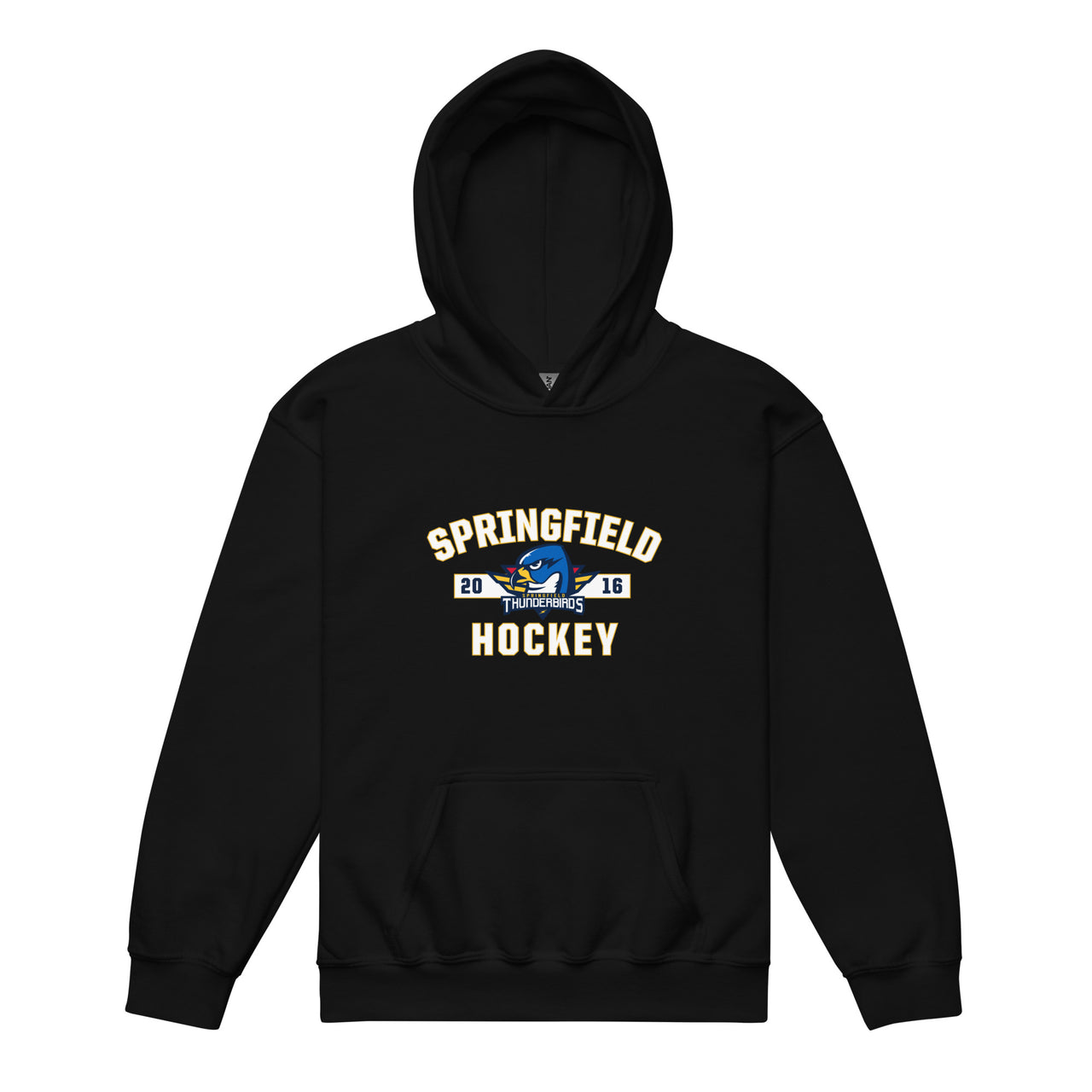 Springfield Thunderbirds Established Logo Youth Pullover Hoodie