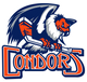 Bakersfield Condors