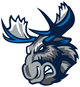 Manitoba Moose