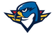 Springfield Thunderbirds