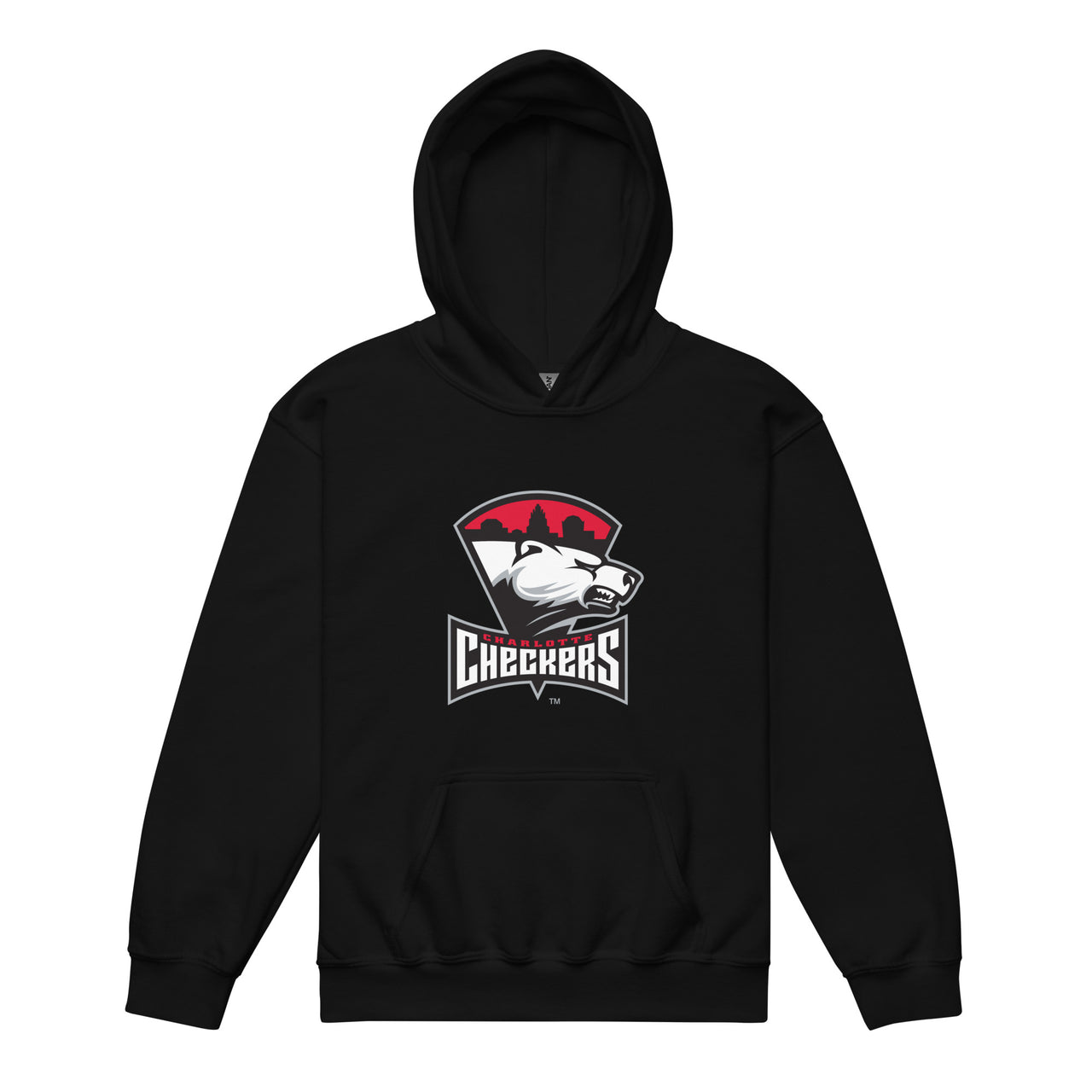 Charlotte Checkers Primary Logo Youth Pullover Hoodie