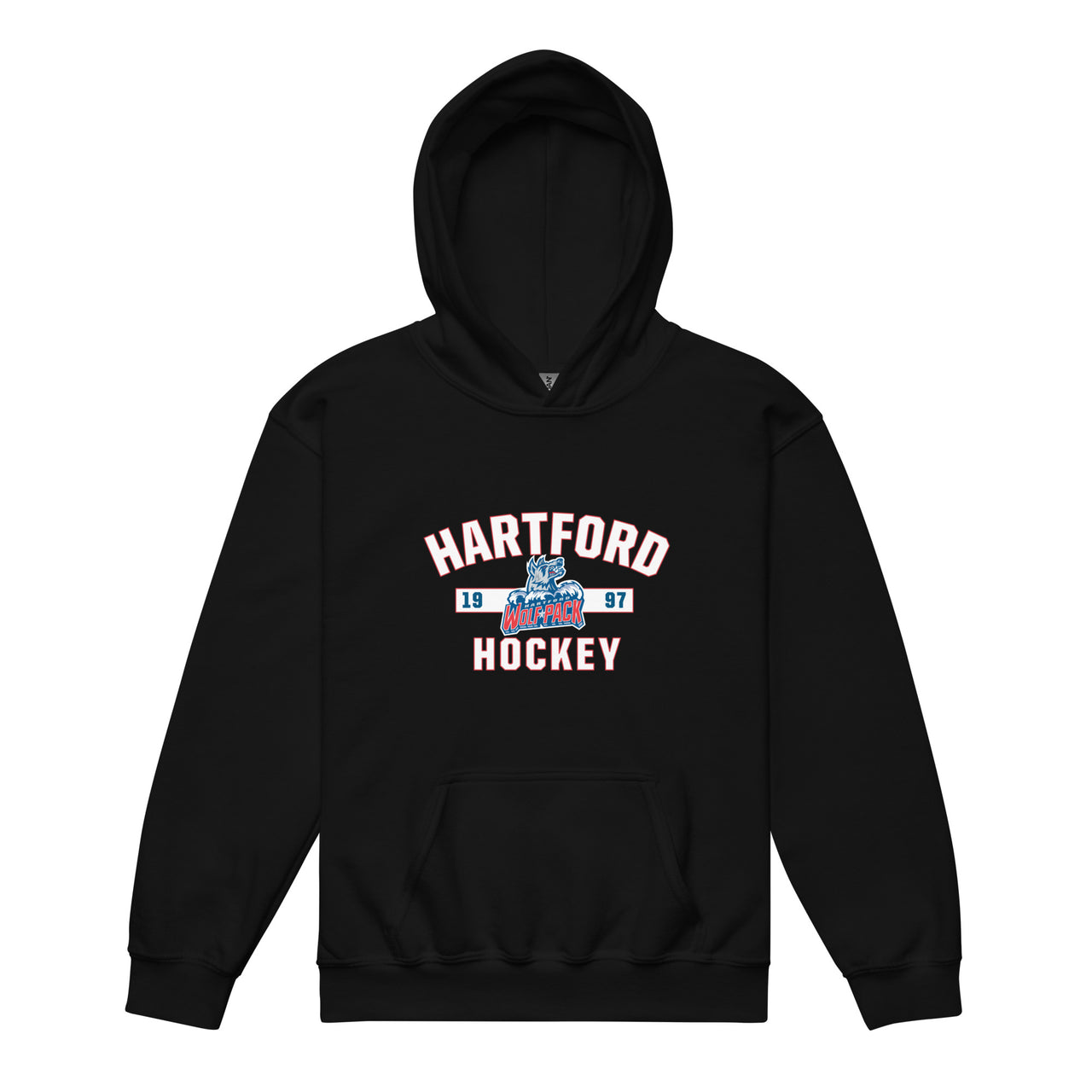 Hartford Wolf Pack Youth Established Pullover Hoodie