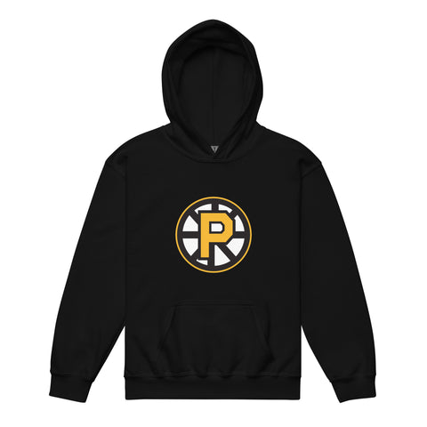 Providence Bruins Primary Logo Youth Pullover Hoodie