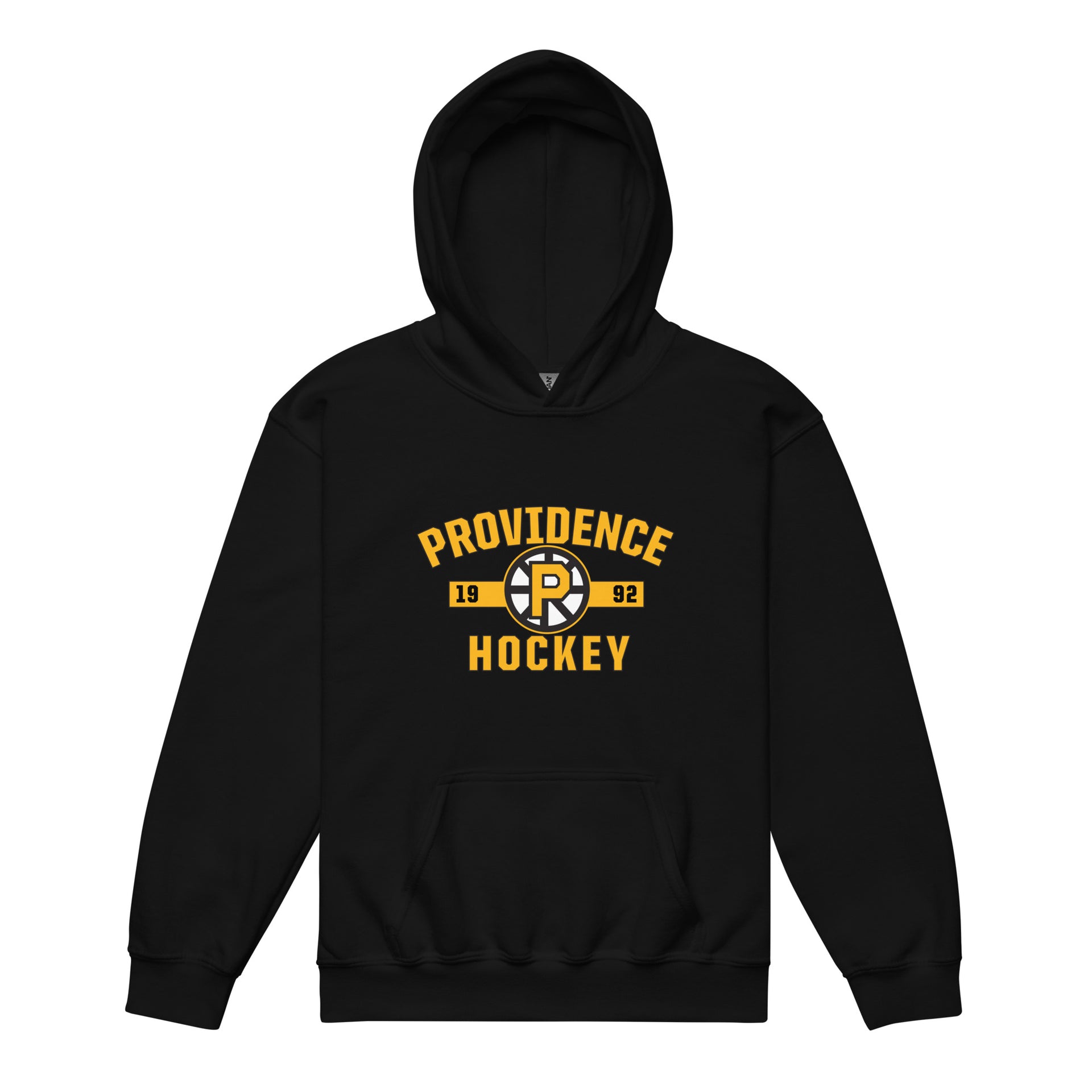 Providence Bruins Established Logo Youth Pullover Hoodie