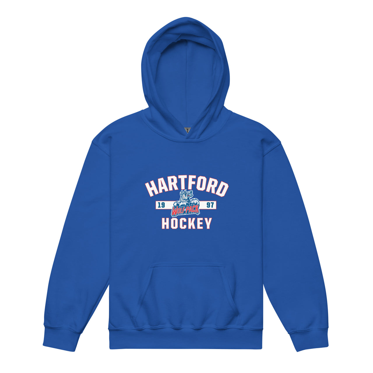 Hartford Wolf Pack Youth Established Pullover Hoodie