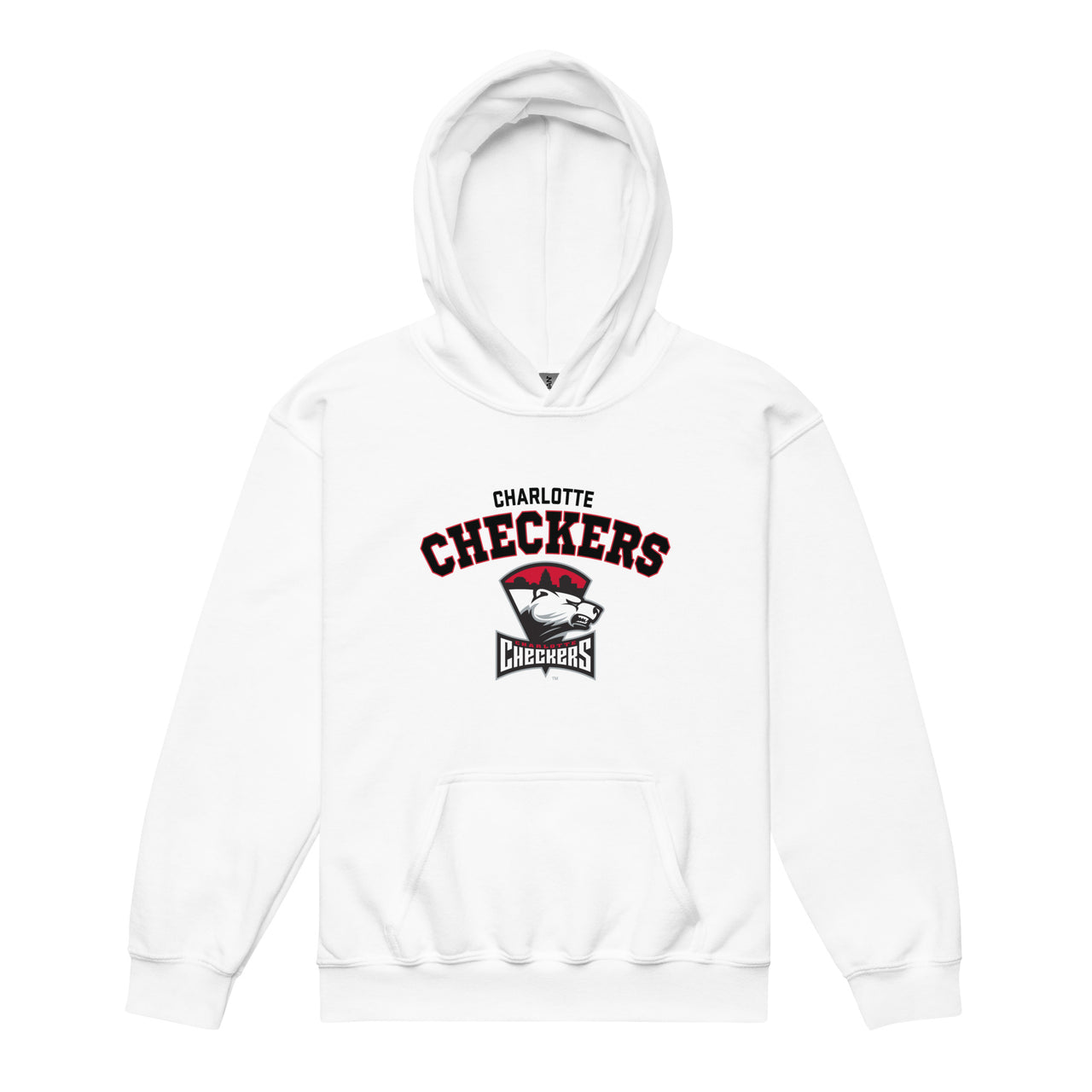 Charlotte Checkers Arch Youth Pullover Hoodie