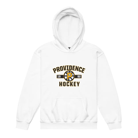 Providence Bruins Established Logo Youth Pullover Hoodie