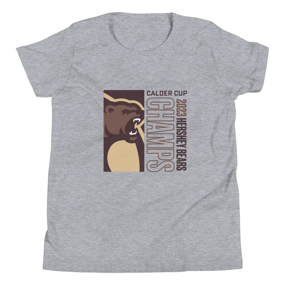 Hershey Bears 2023 Calder Cup Champions Youth Icon Short Sleeve T-Shirt (Sidewalk Sale, Heather Grey, Youth Small)