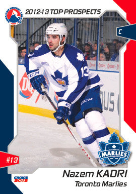 2012-13 AHL Top Prospects Trading Card Set