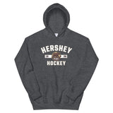 Hershey Bears Adult Established Pullover Hoodie