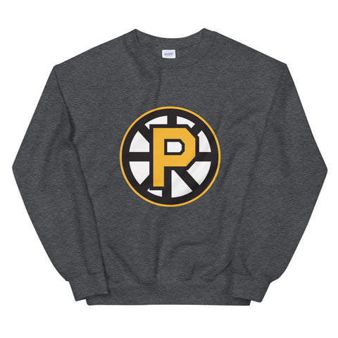 NEW Providence Bruins AHL Celebrating 30 Seasons SGA T-Shirt Adult XL Boston