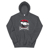 Charlotte Checkers Adult Primary Logo Pullover Hoodie