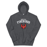 Coachella Valley Firebirds Adult Arch Pullover Hoodie