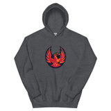 Coachella Valley Firebirds Adult Primary Logo Pullover Hoodie
