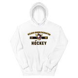 Wilkes-Barre/Scranton Penguins Adult Established Pullover Hoodie